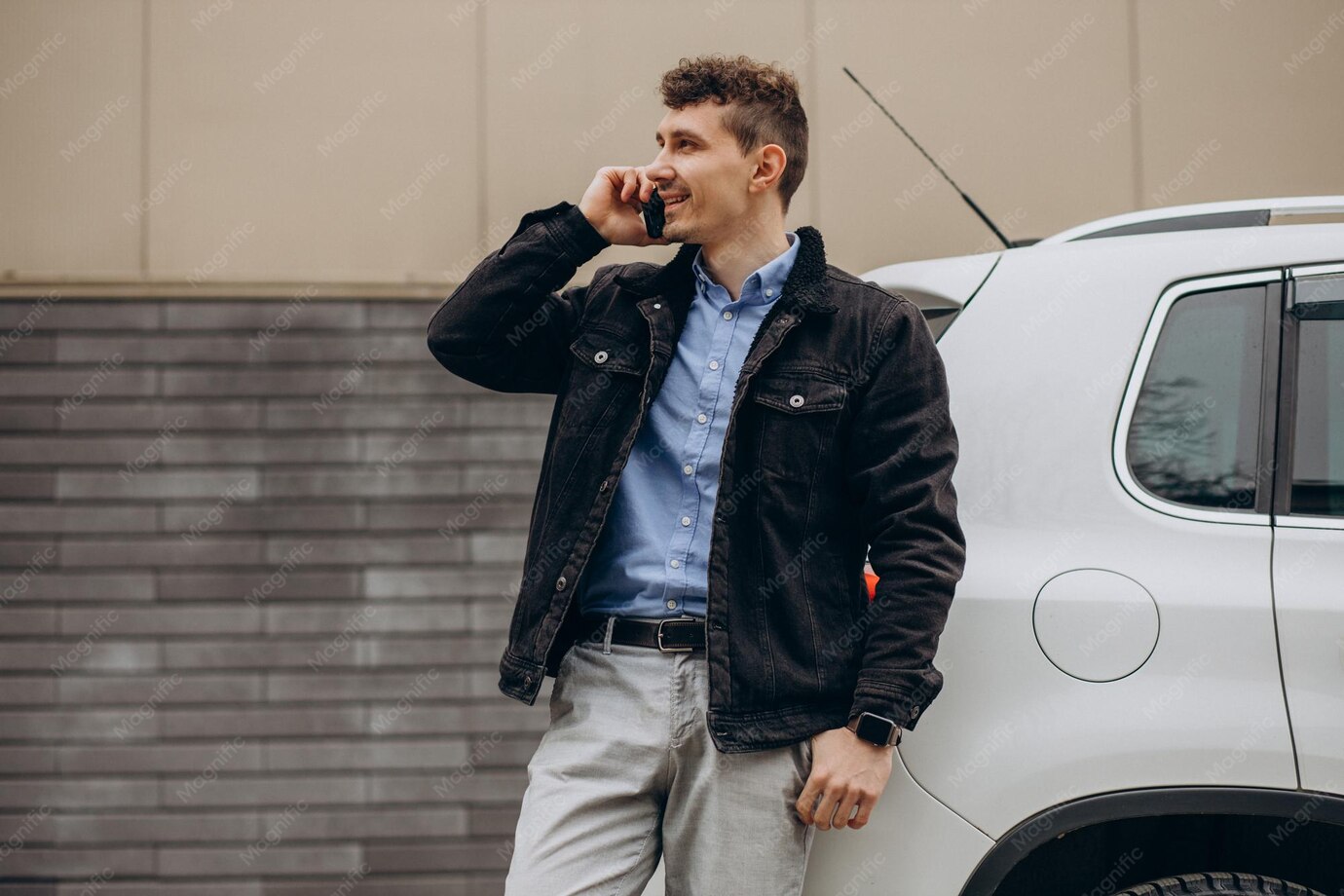 Van de luxo prateada, modelo ilustrativo da categoria vans